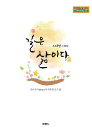 길은 삶이다(한국현대수필100년 사파이어문고 24)