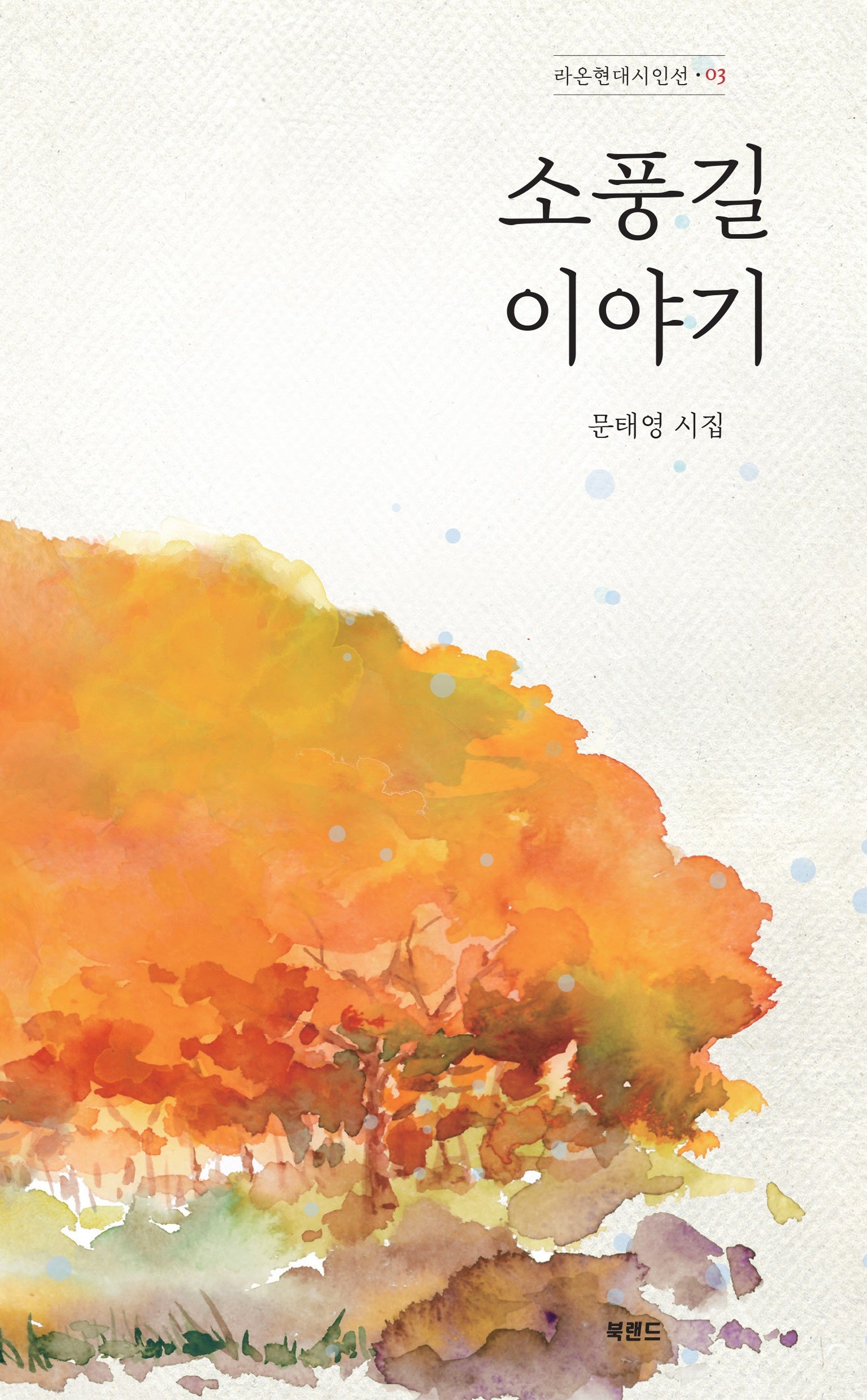 소풍길 이야기(라온현대시인선 3)