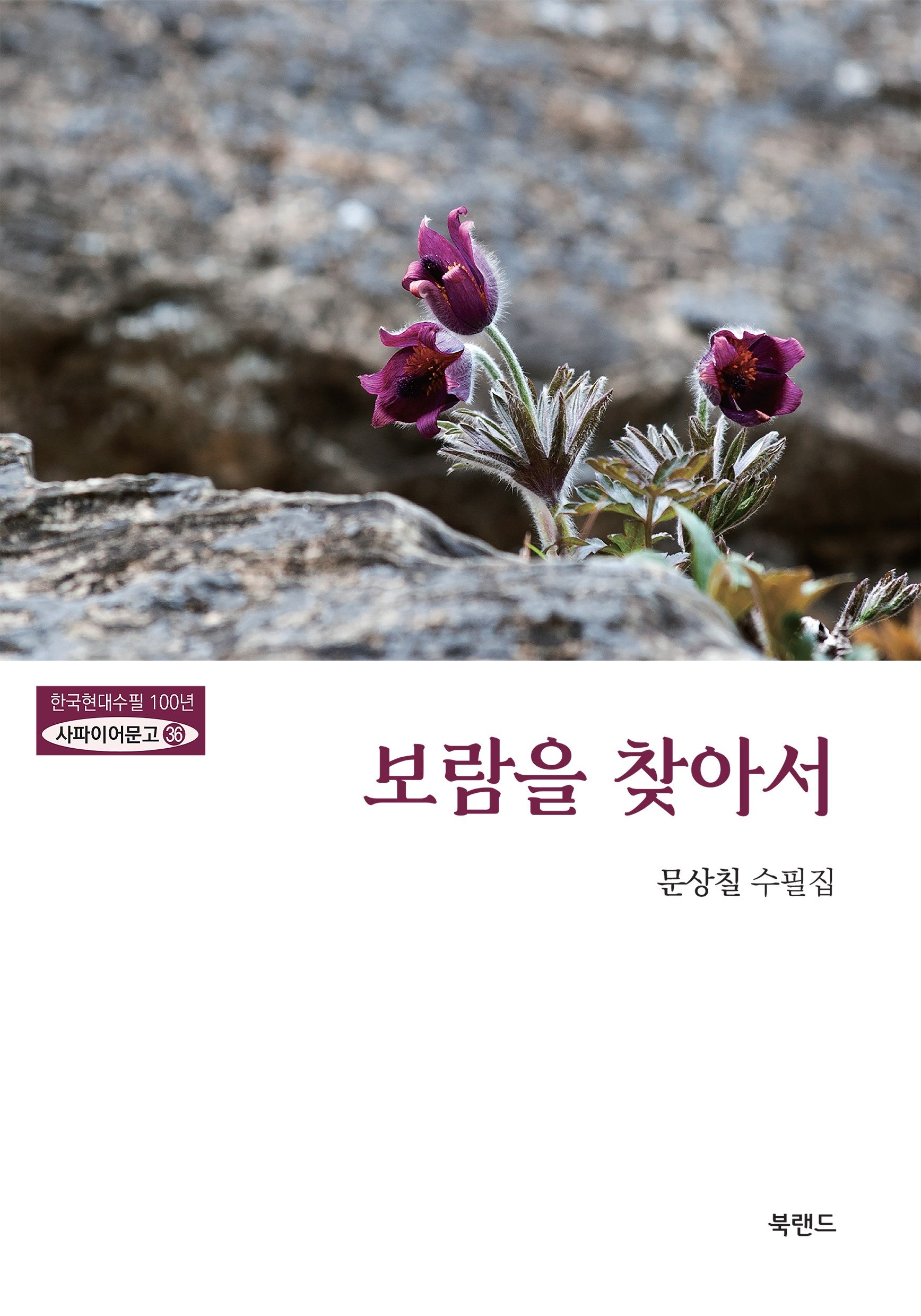 보람을 찾아서(한국현대수필100년 사파이어문고 36)