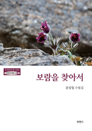 보람을 찾아서(한국현대수필100년 사파이어문고 36)