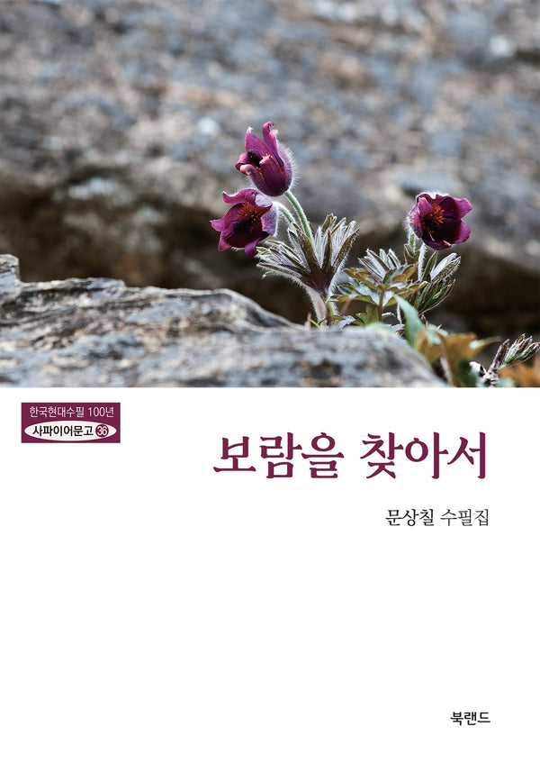 보람을 찾아서(한국현대수필100년 사파이어문고 36)