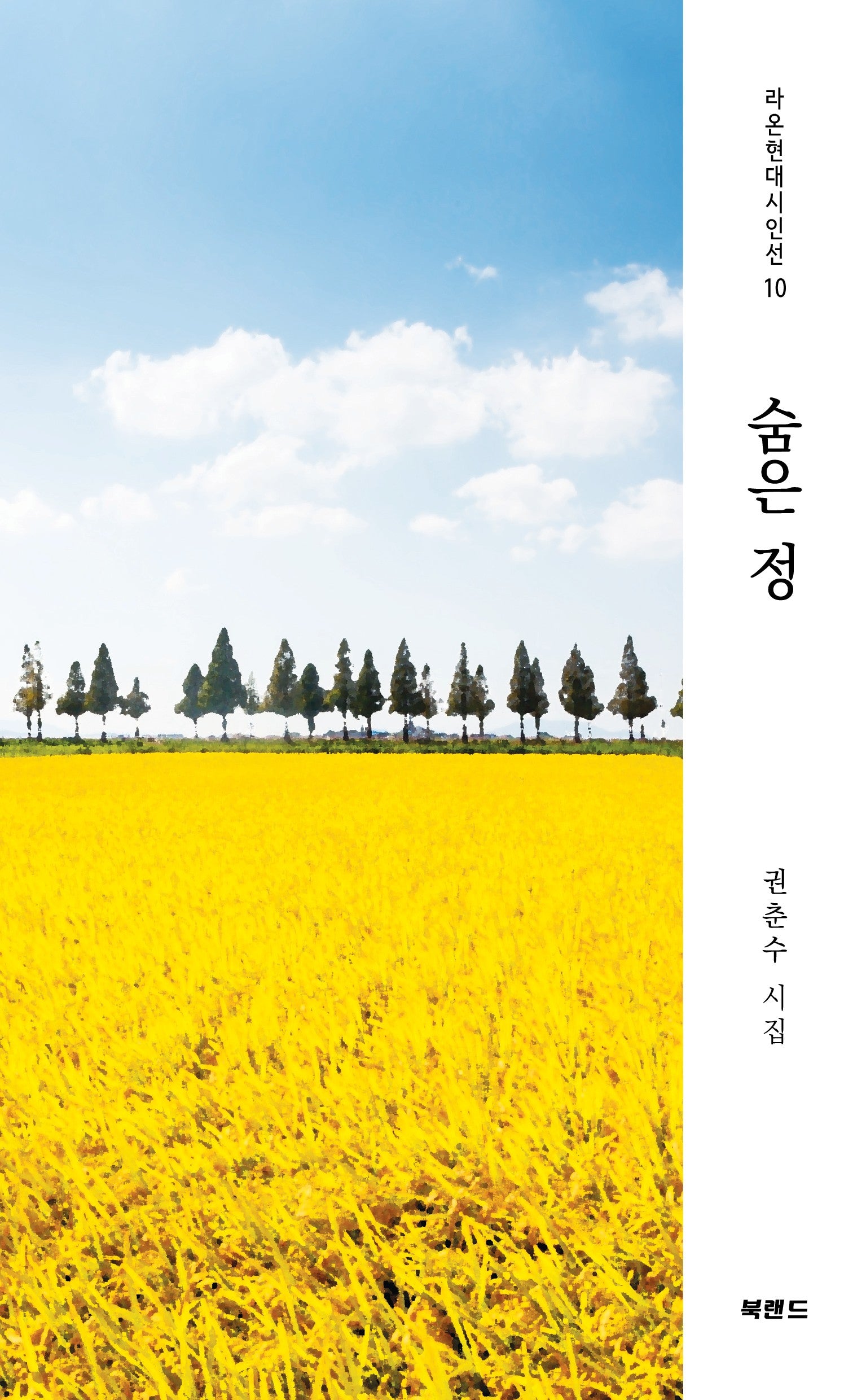 숨은 정(라온현대시인선 10)