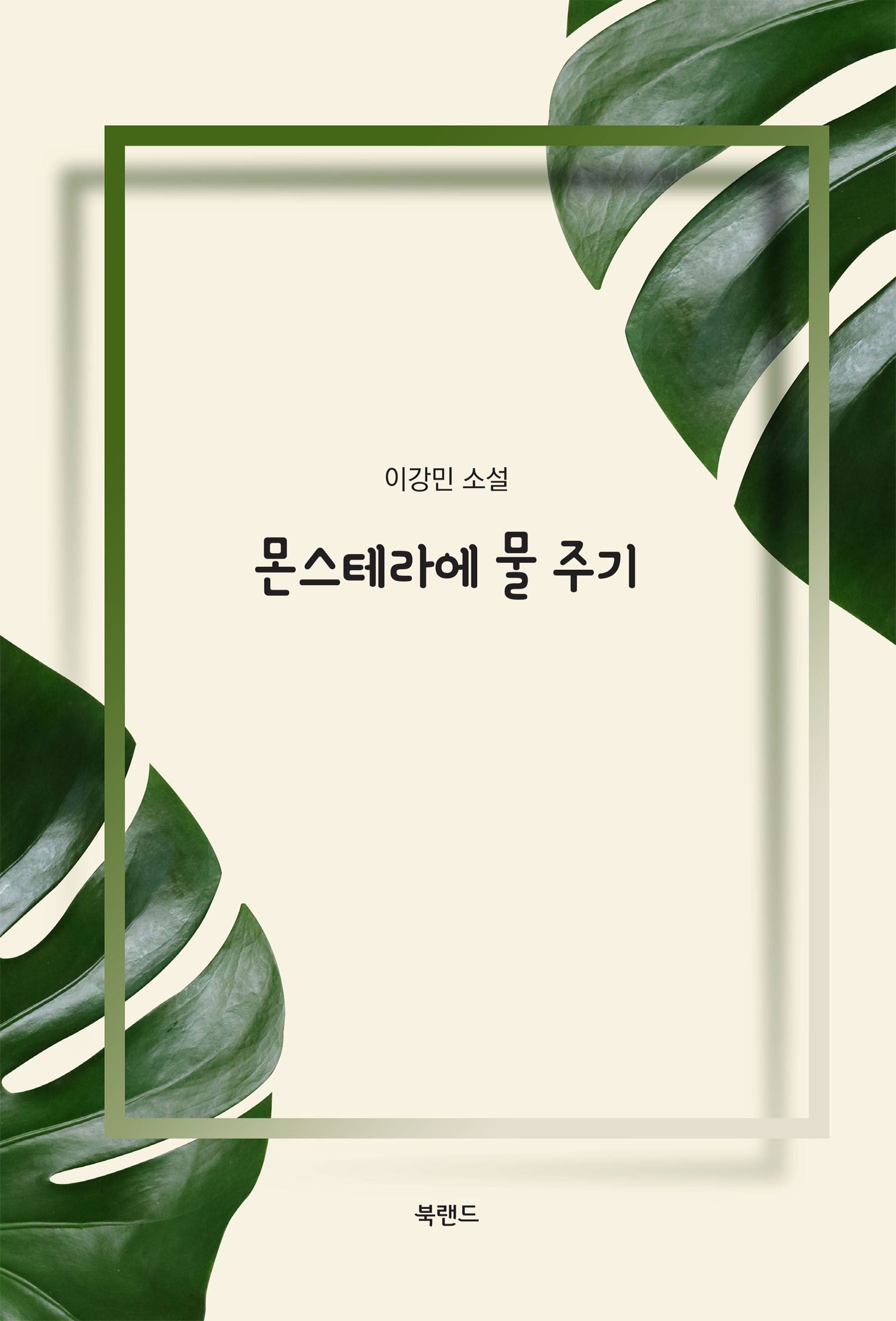 몬스테라에 물 주기