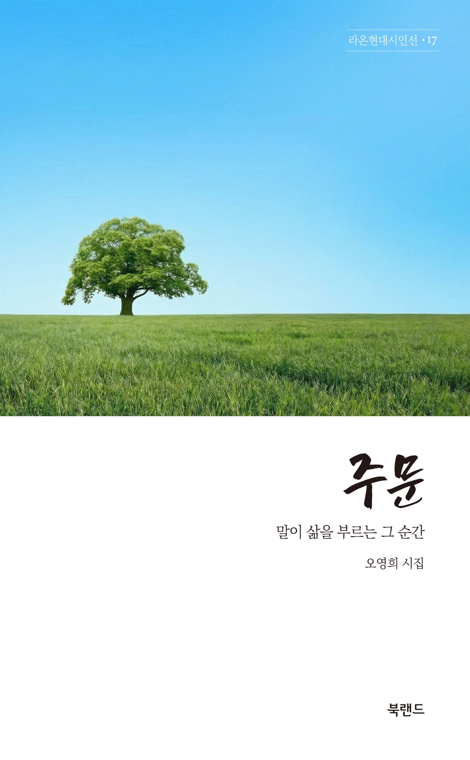 주문(라온현대시인선 17)