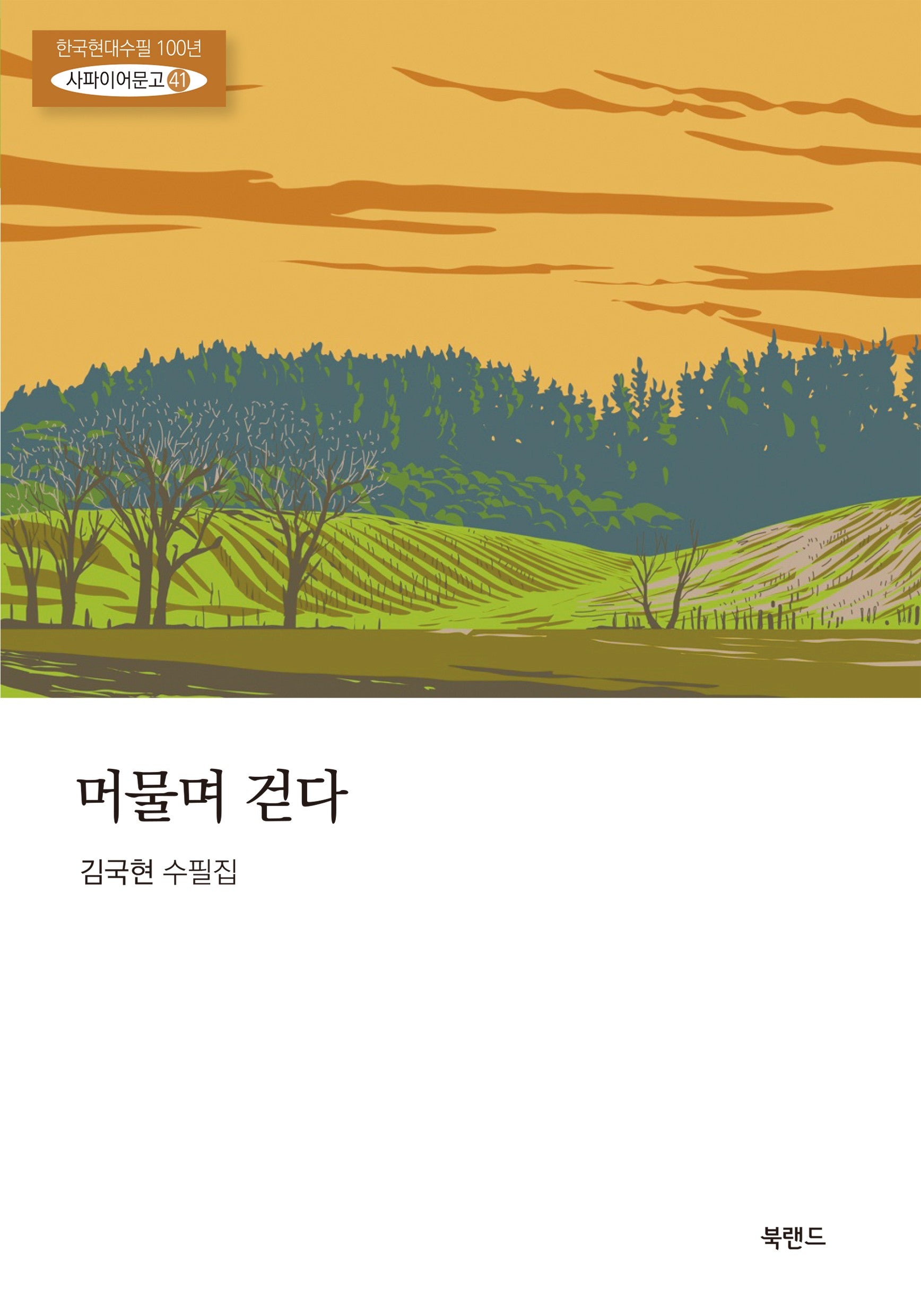 머물며 걷다(한국현대수필100년 사파이어문고 41)