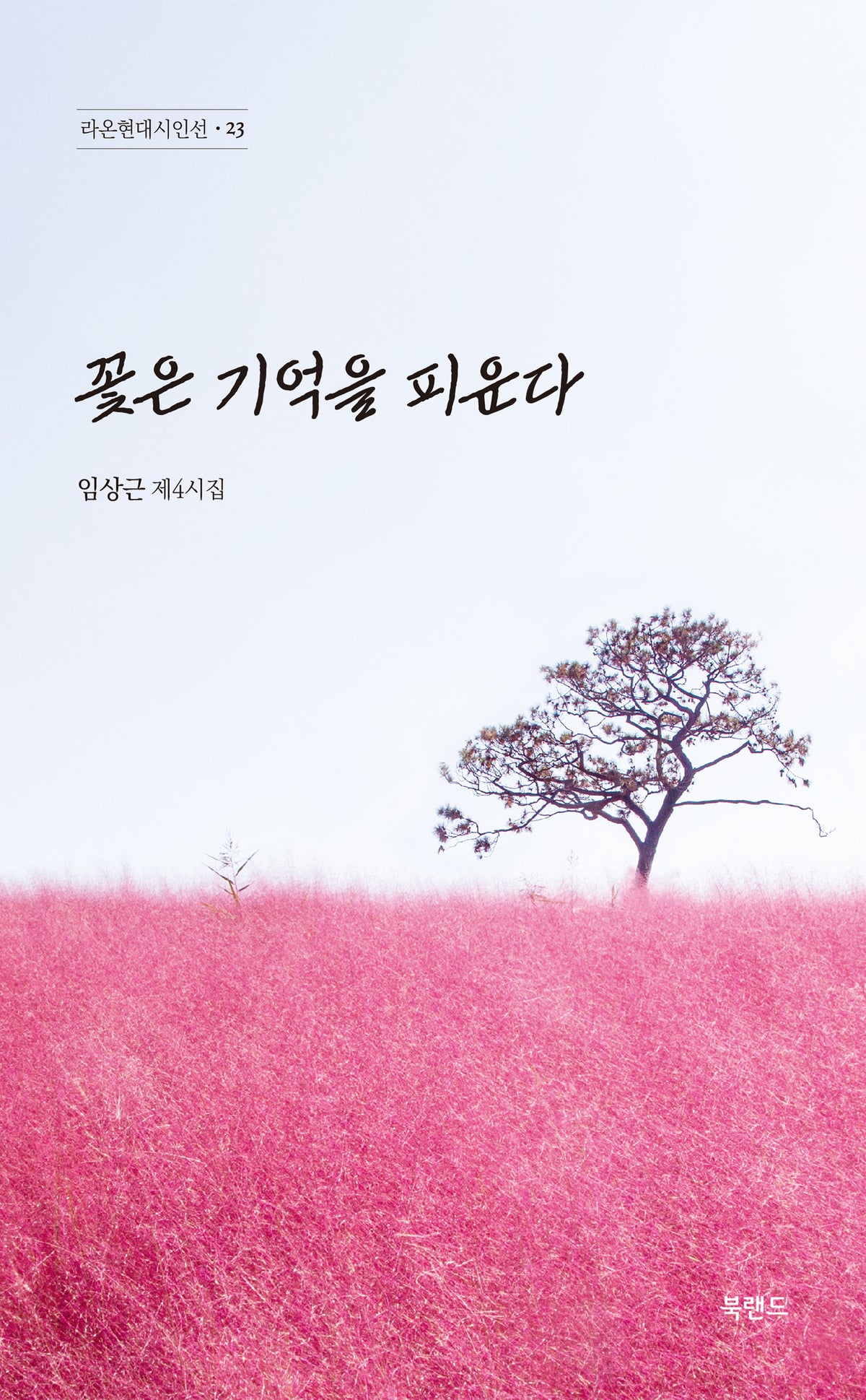 꽃은 기억을 피운다(라온현대시인선 23)