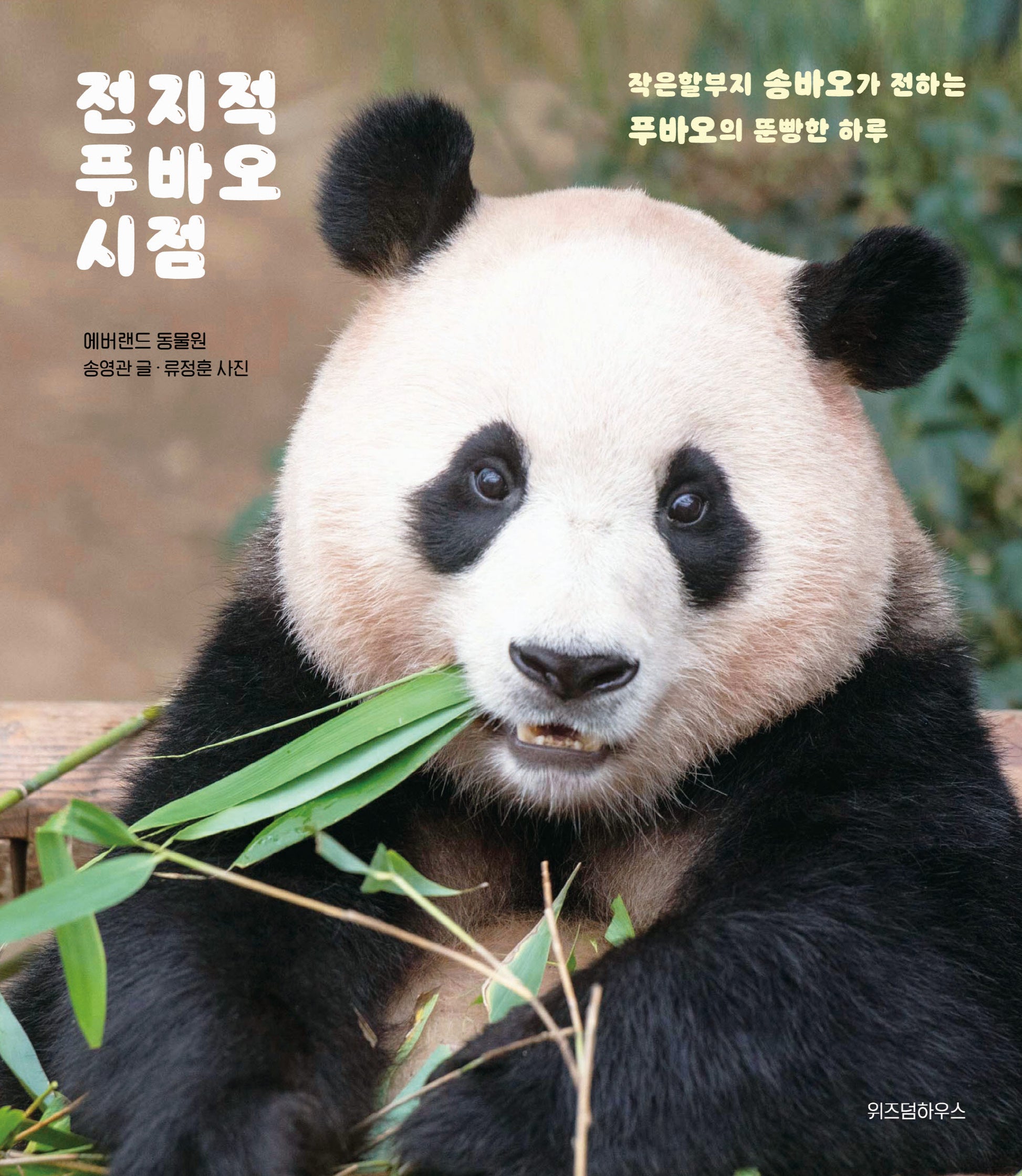 전지적 푸바오 시점(양장본 Hardcover)