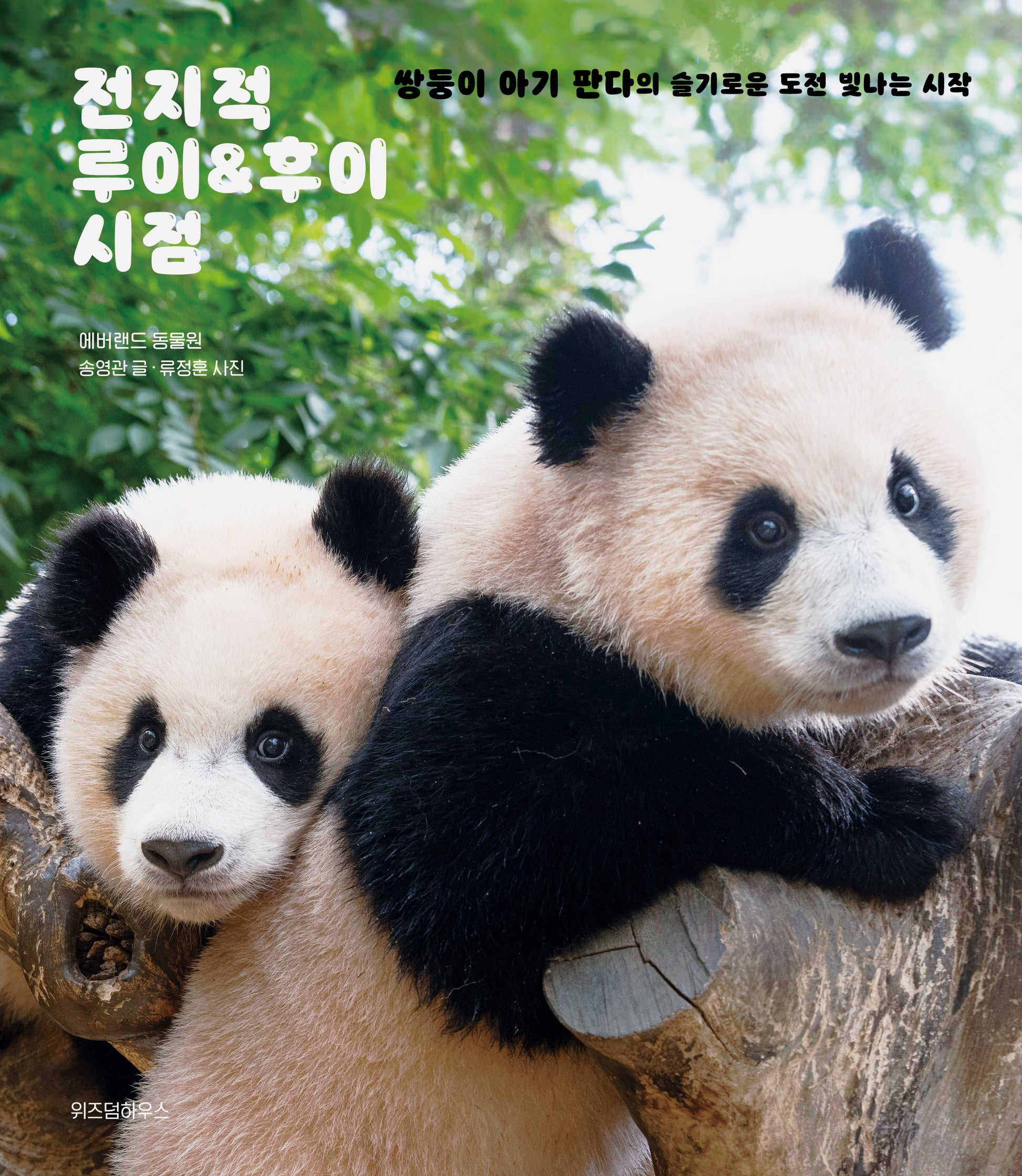 전지적 루이 & 후이 시점(양장본 Hardcover)