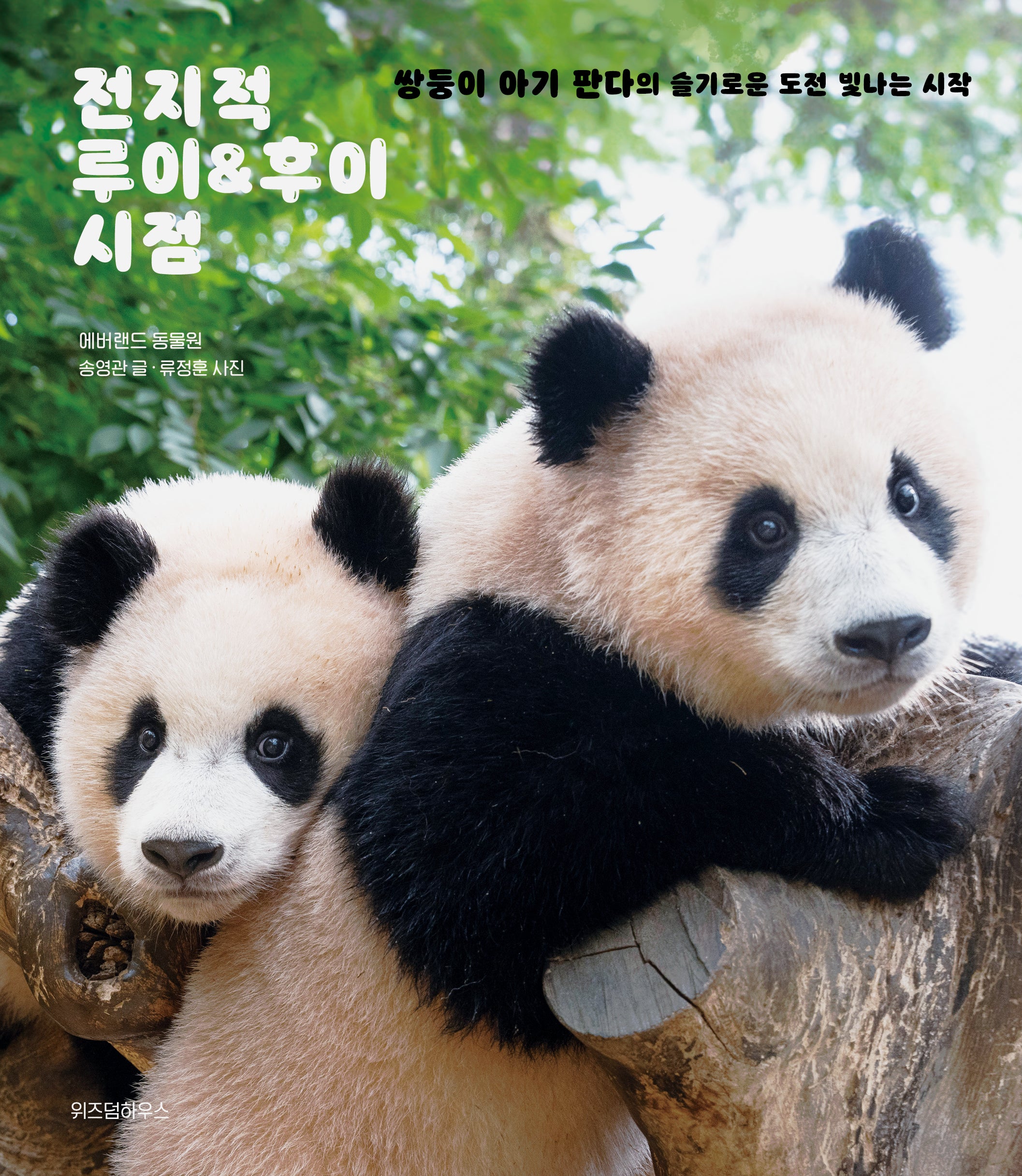 전지적 루이 & 후이 시점(양장본 Hardcover)