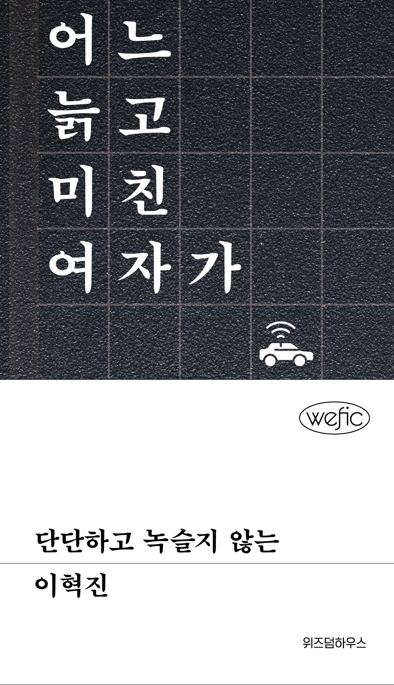 단단하고 녹슬지 않는(위픽(WEFIC))(양장본 Hardcover)