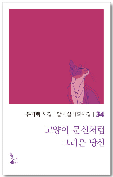 고양이 문신처럼 그리운 당신(달아실기획시집 34)