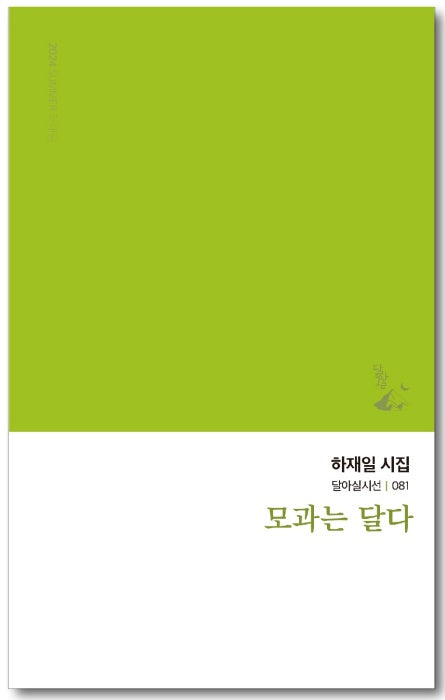 모과는 달다(달아실시선 81)
