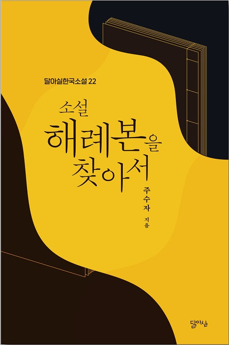 소설 해례본을 찾아서(달아실한국소설 22)