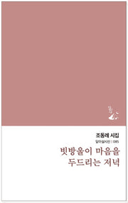 빗방울이 마음을 두드리는 저녁(달아실시선 85)