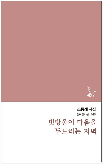 빗방울이 마음을 두드리는 저녁(달아실시선 85)