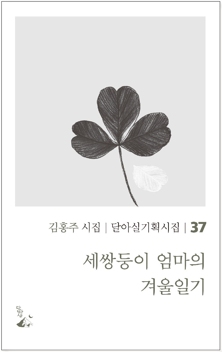 세쌍둥이 엄마의 겨울일기(달아실기획시집 37)