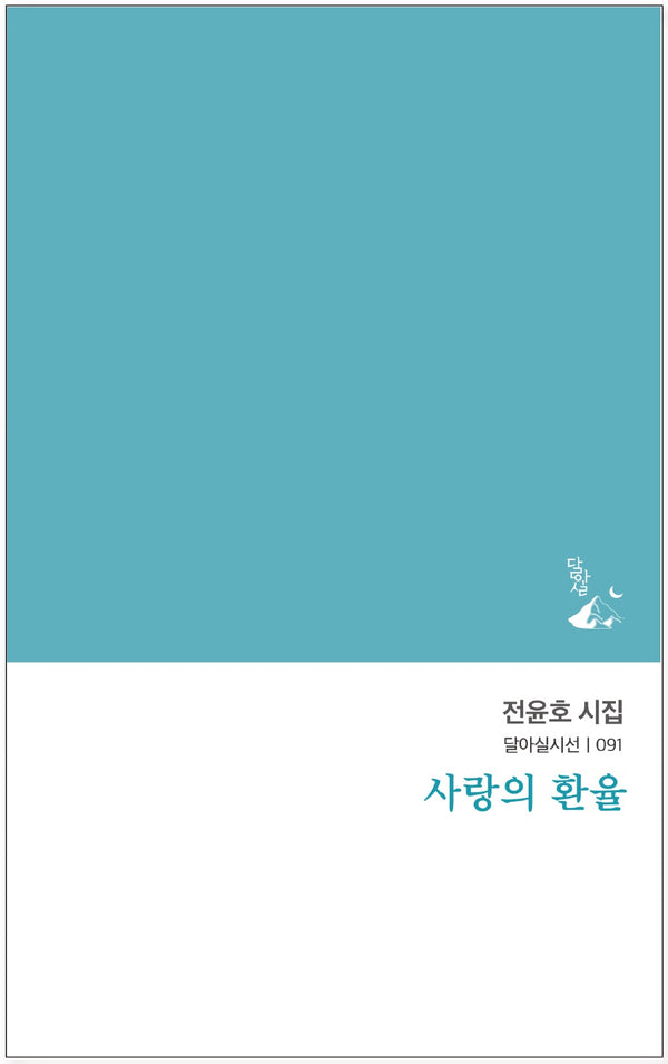 사랑의 환율(달아실시선 91)