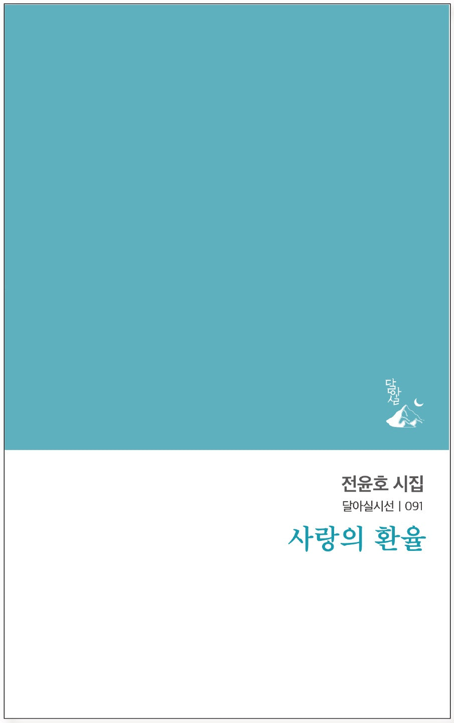 사랑의 환율(달아실시선 91)