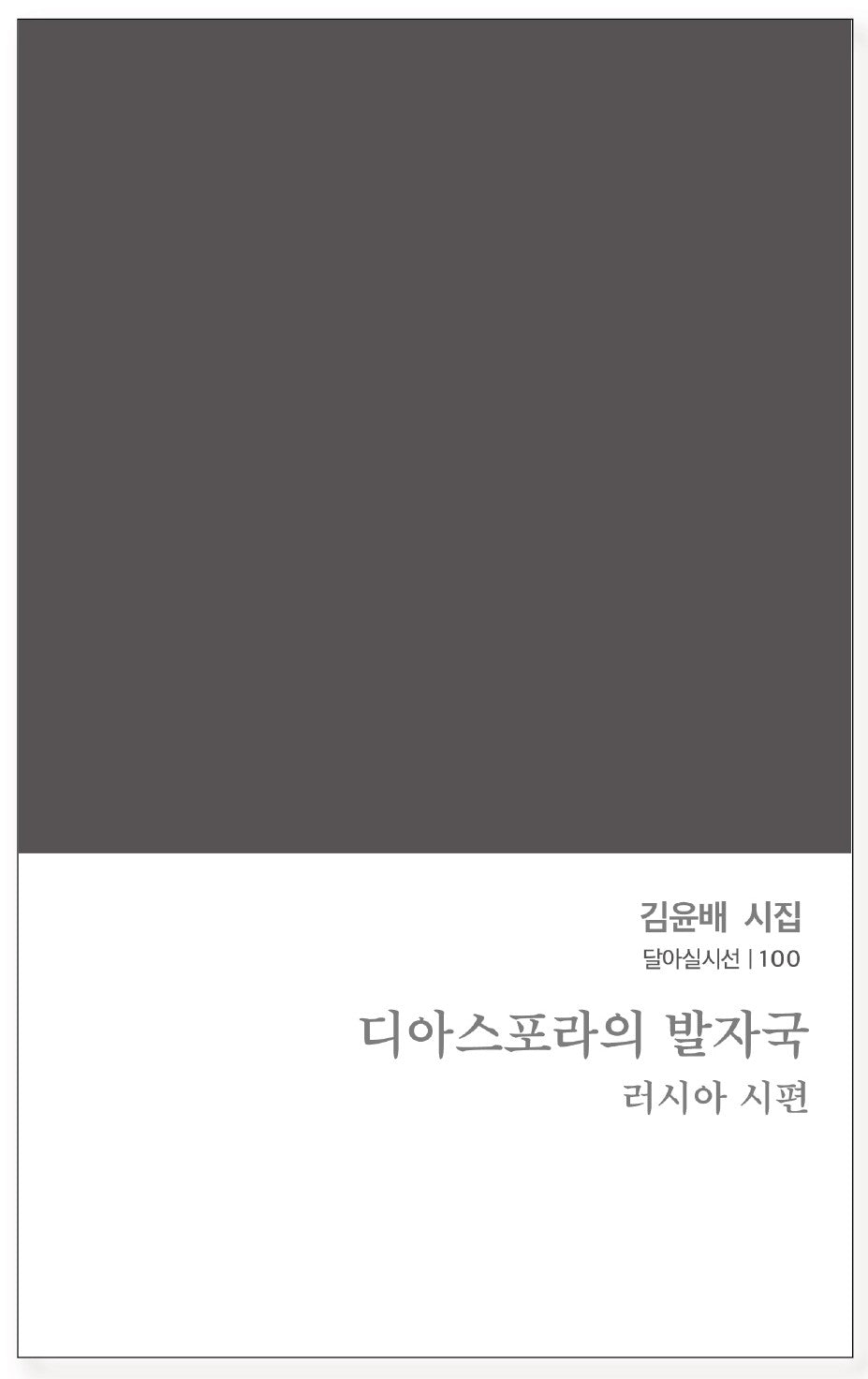 디아스포라의 발자국(달아실시선 100)