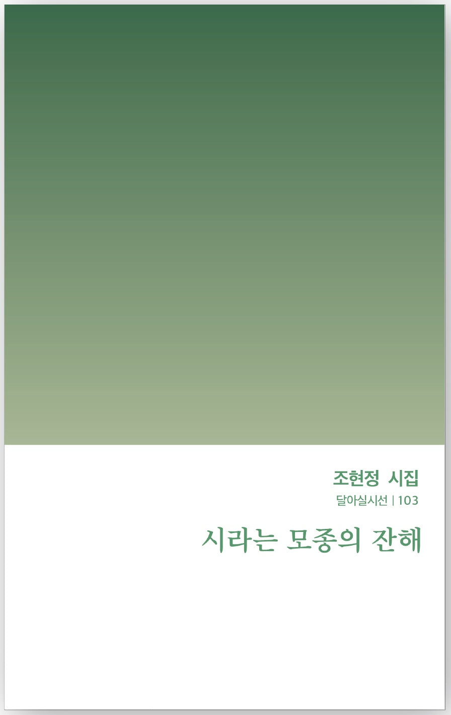시라는 모종의 잔해(달아실시선 103)