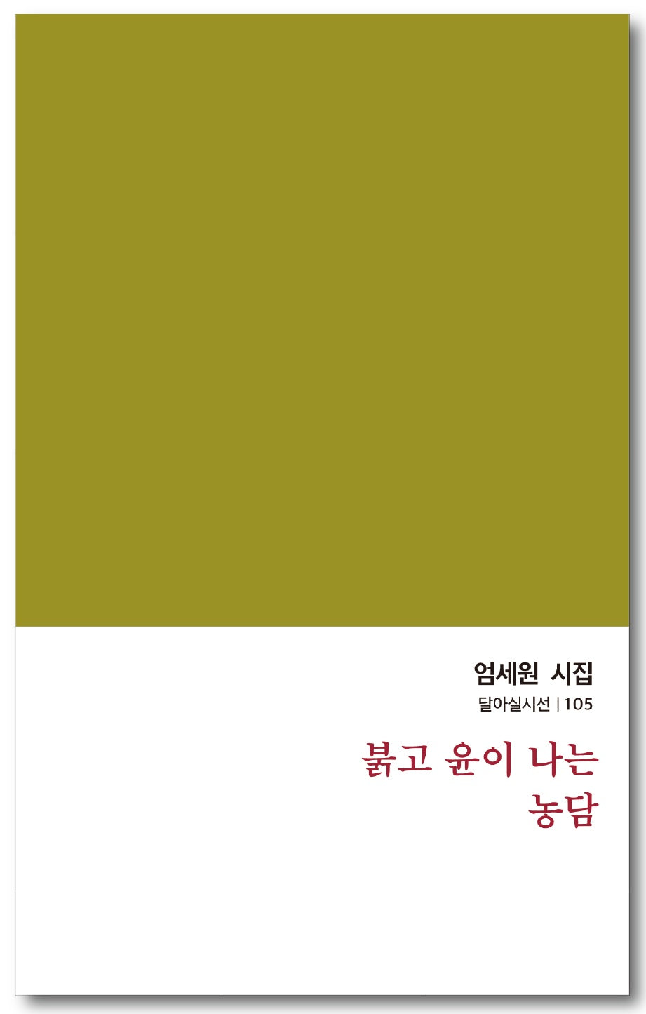 붉고 윤이 나는 농담(달아실시선 105)