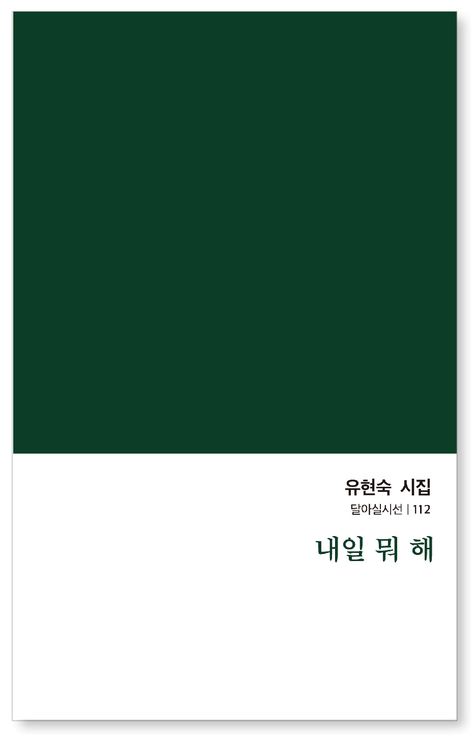 내일 뭐 해(달아실시선 112)