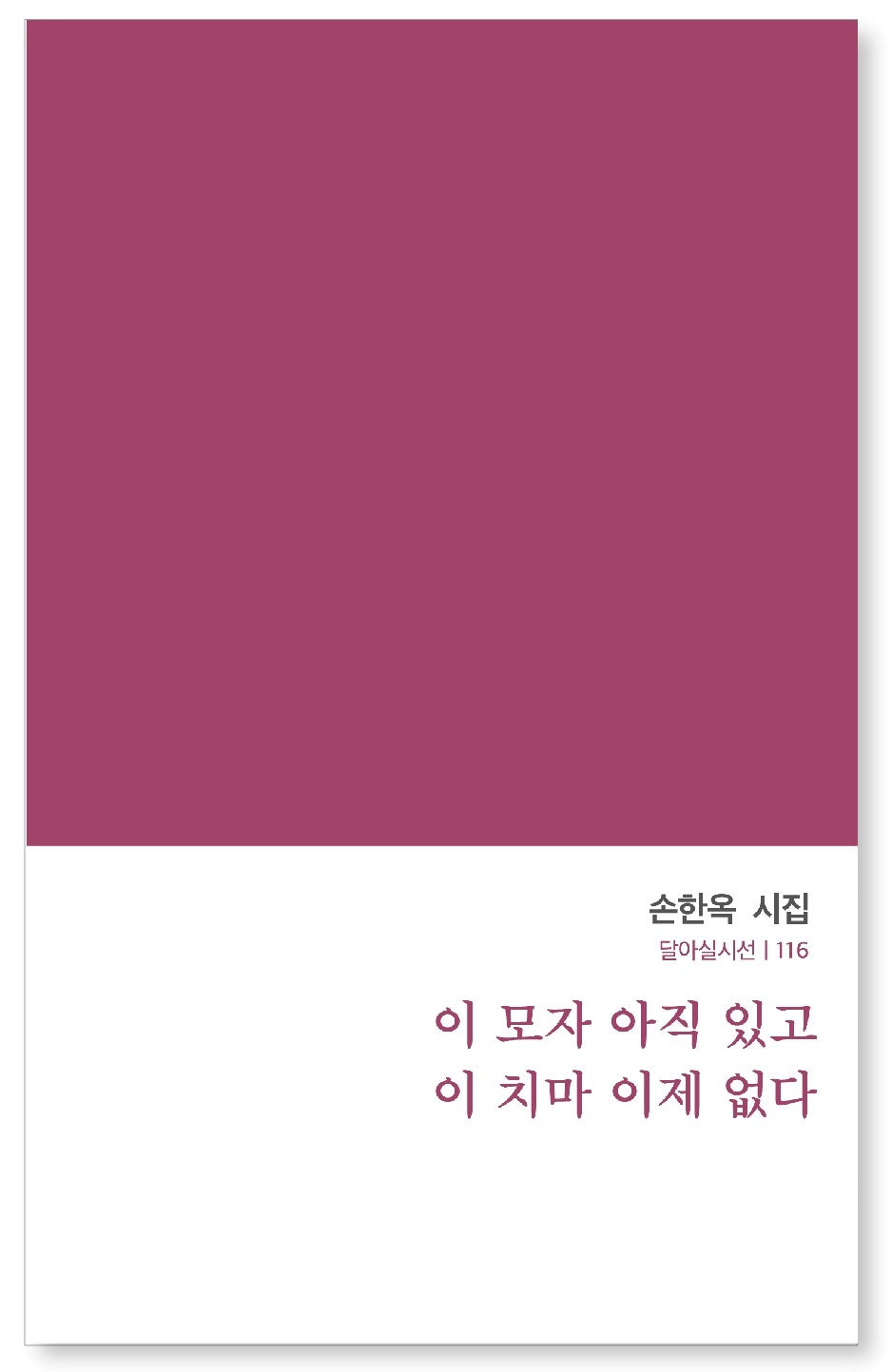 이 모자 아직 있고 이 치마 이제 없다(달아실시선 116)