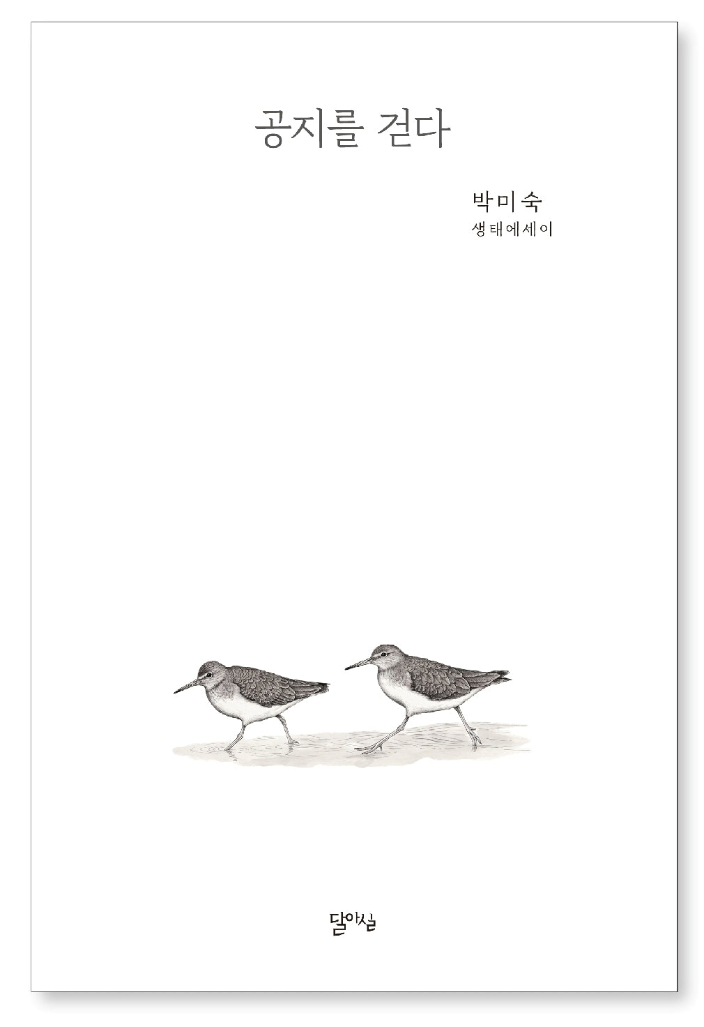공지를 걷다