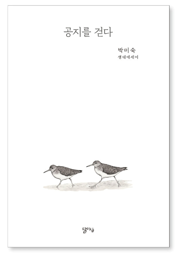 공지를 걷다