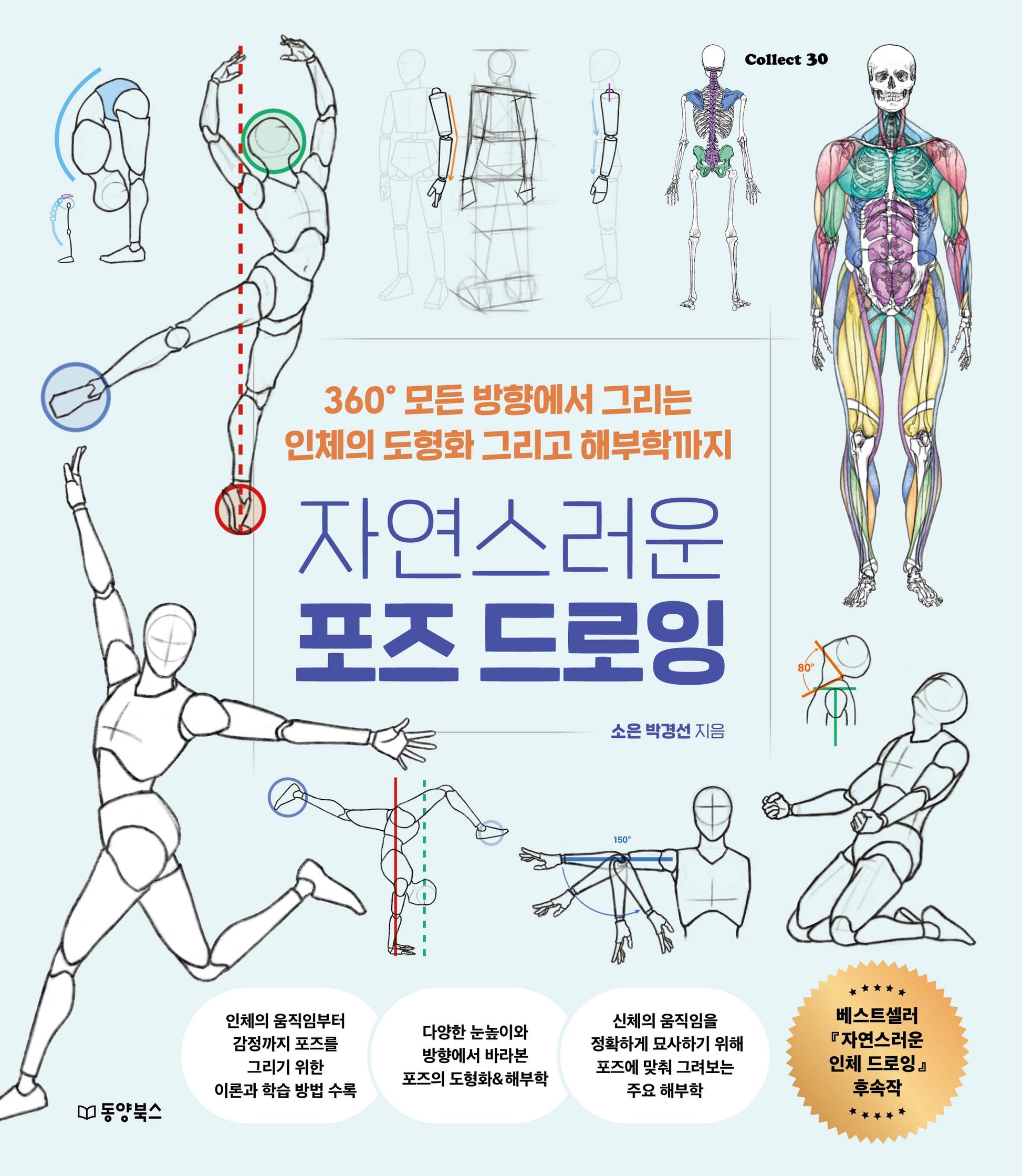 자연스러운 포즈 드로잉(Collect 30)
