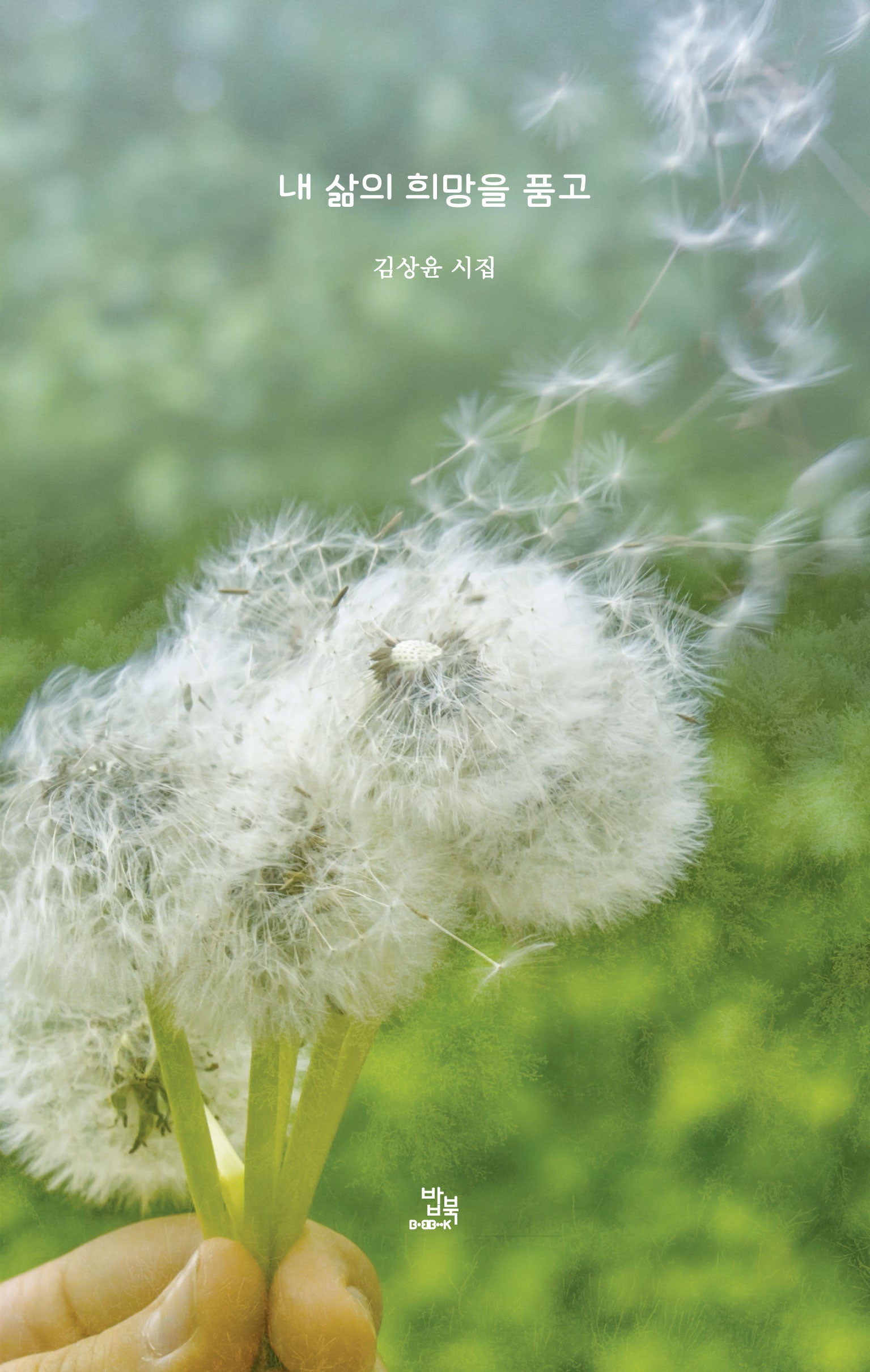내 삶의 희망을 품고