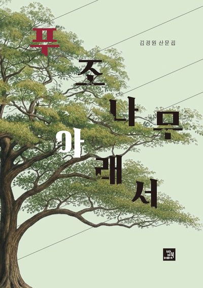 푸조나무 아래서