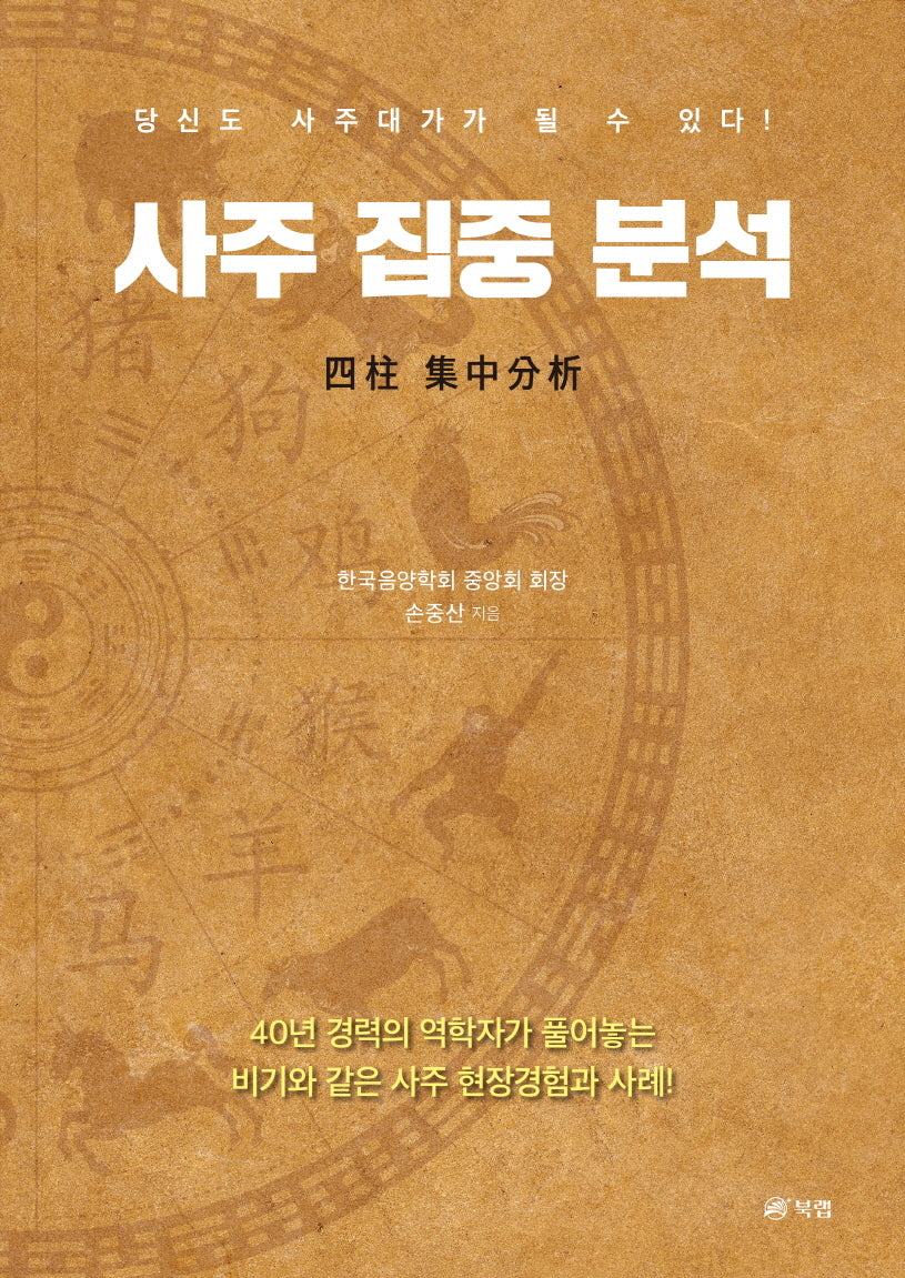 사주 집중 분석