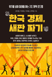 한국 경제, 새판 짜기