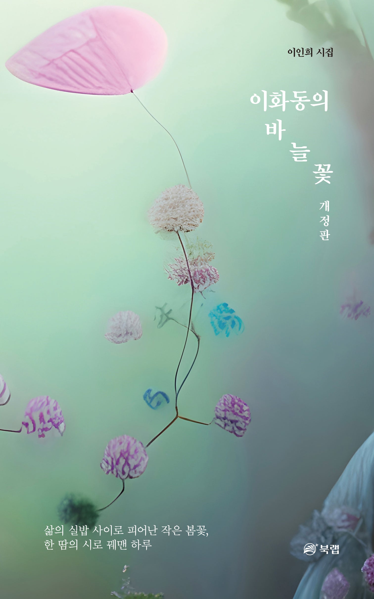 이화동의 바늘꽃(개정판)
