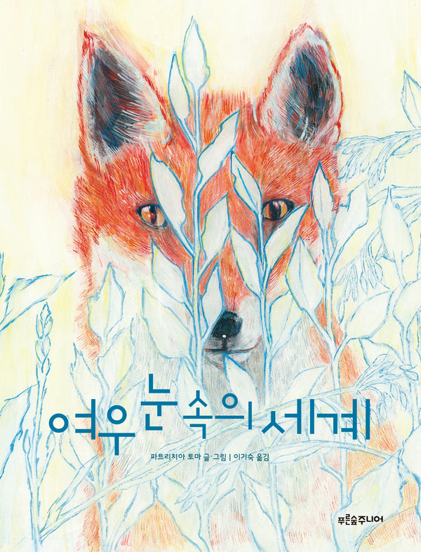 여우 눈 속의 세계(푸른숲 생각 나무 26)