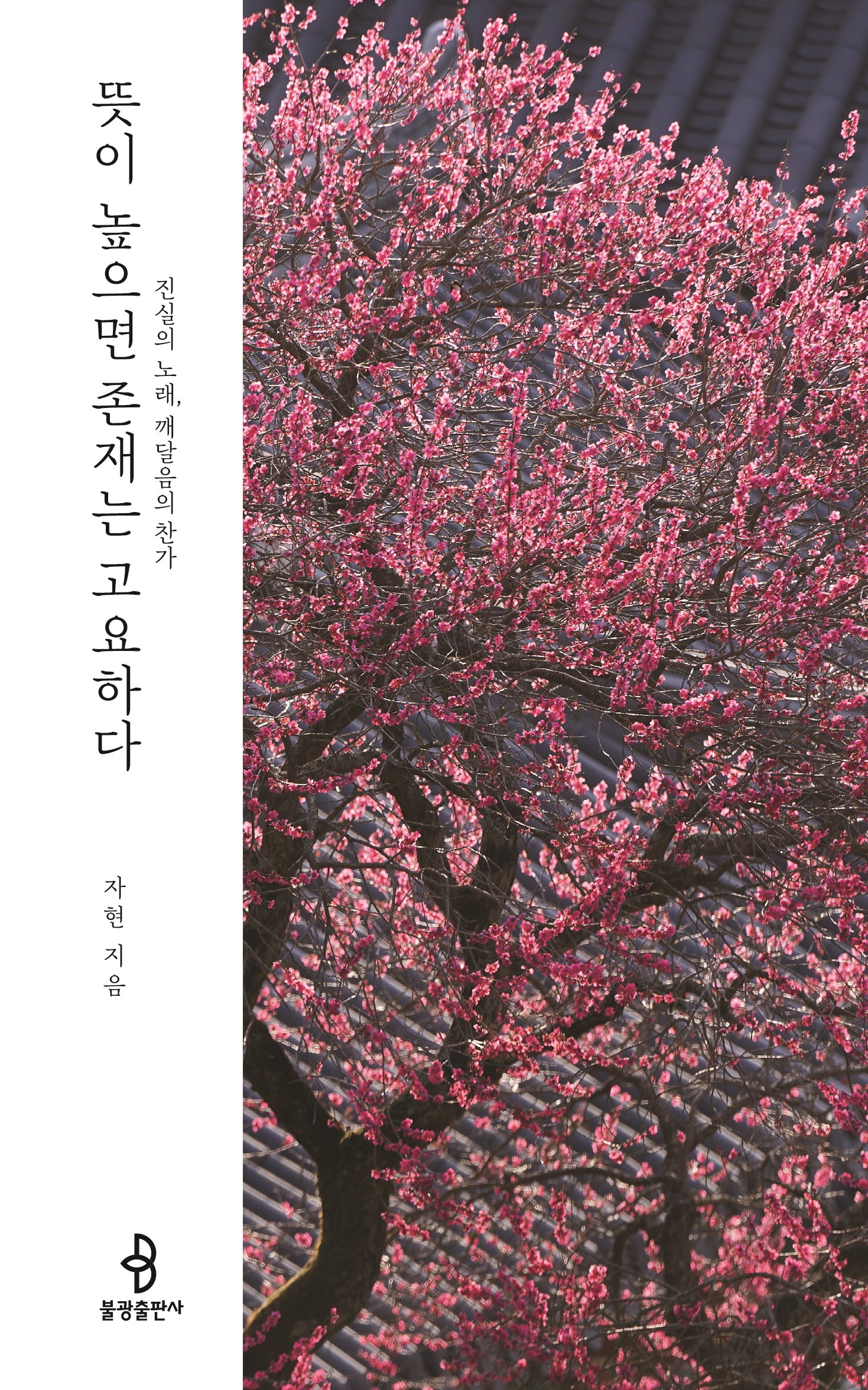 뜻이 높으면 존재는 고요하다(양장본 Hardcover)