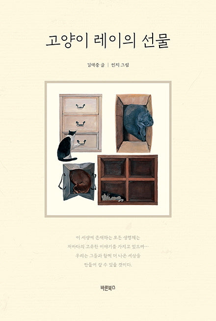 고양이 레이의 선물