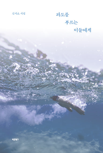 파도를 부르는 이들에게
