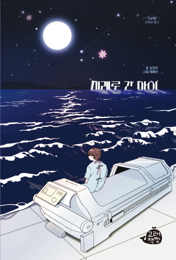 미래로 간 아이(고래책빵 고학년 문고 13)