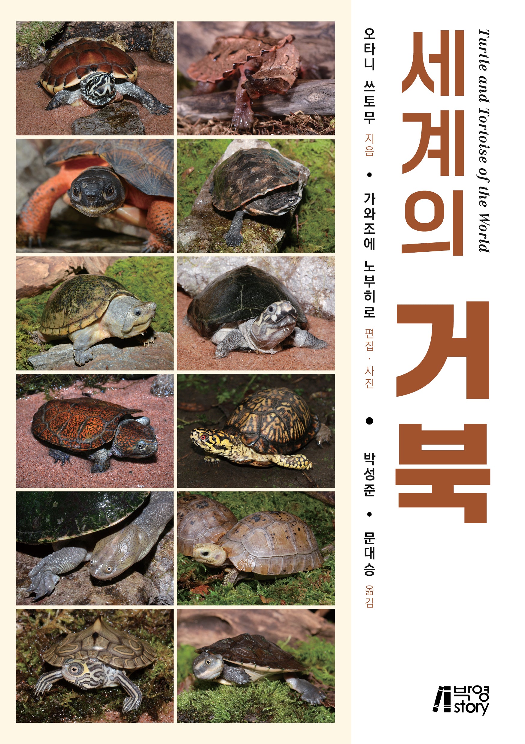 세계의 거북