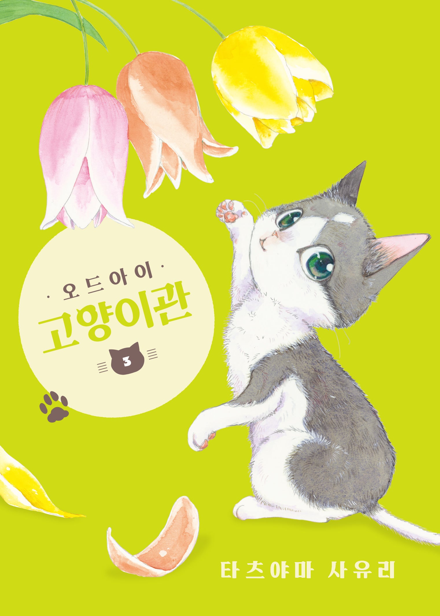 오드아이 고양이관 3(시프트코믹스)