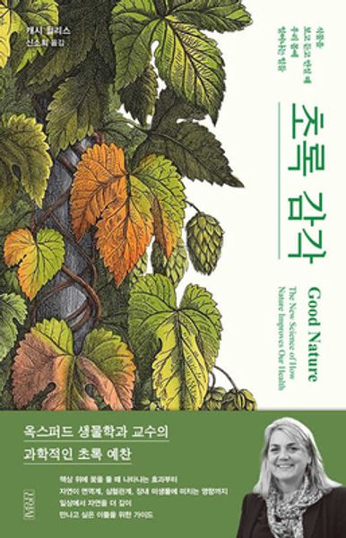 초록 감각