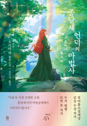 종달새 언덕의 마법사(반양장)