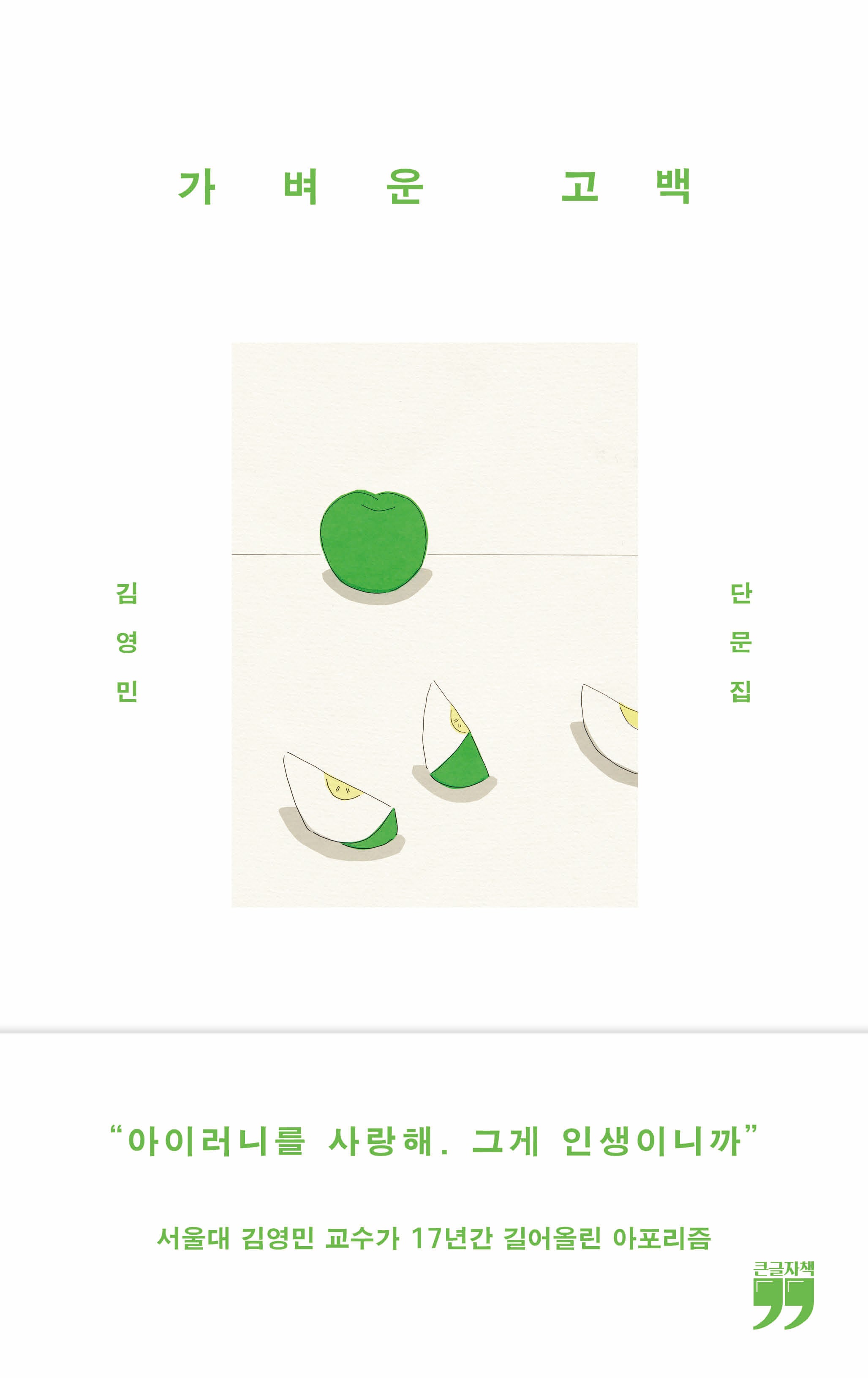 가벼운 고백(큰글자책)