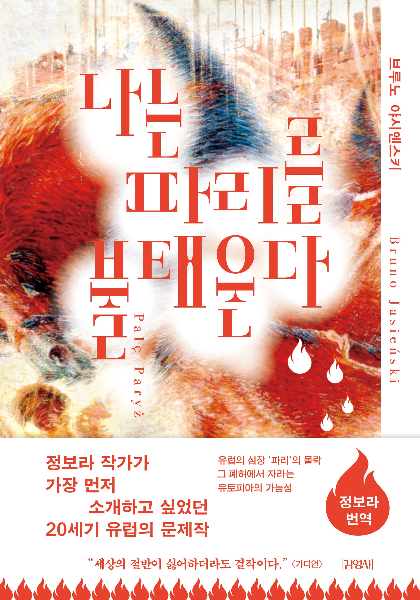 나는 파리를 불태운다(반양장)