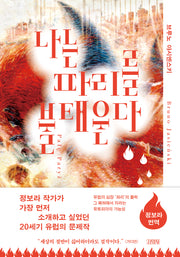 나는 파리를 불태운다(반양장)