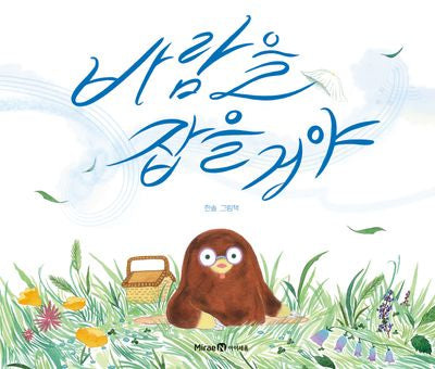 바람을 잡을 거야(미래엔그림책)(양장본 Hardcover)
