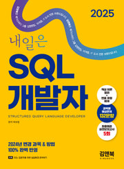 2025 김앤북 내일은 SQL 개발자(SQLD)