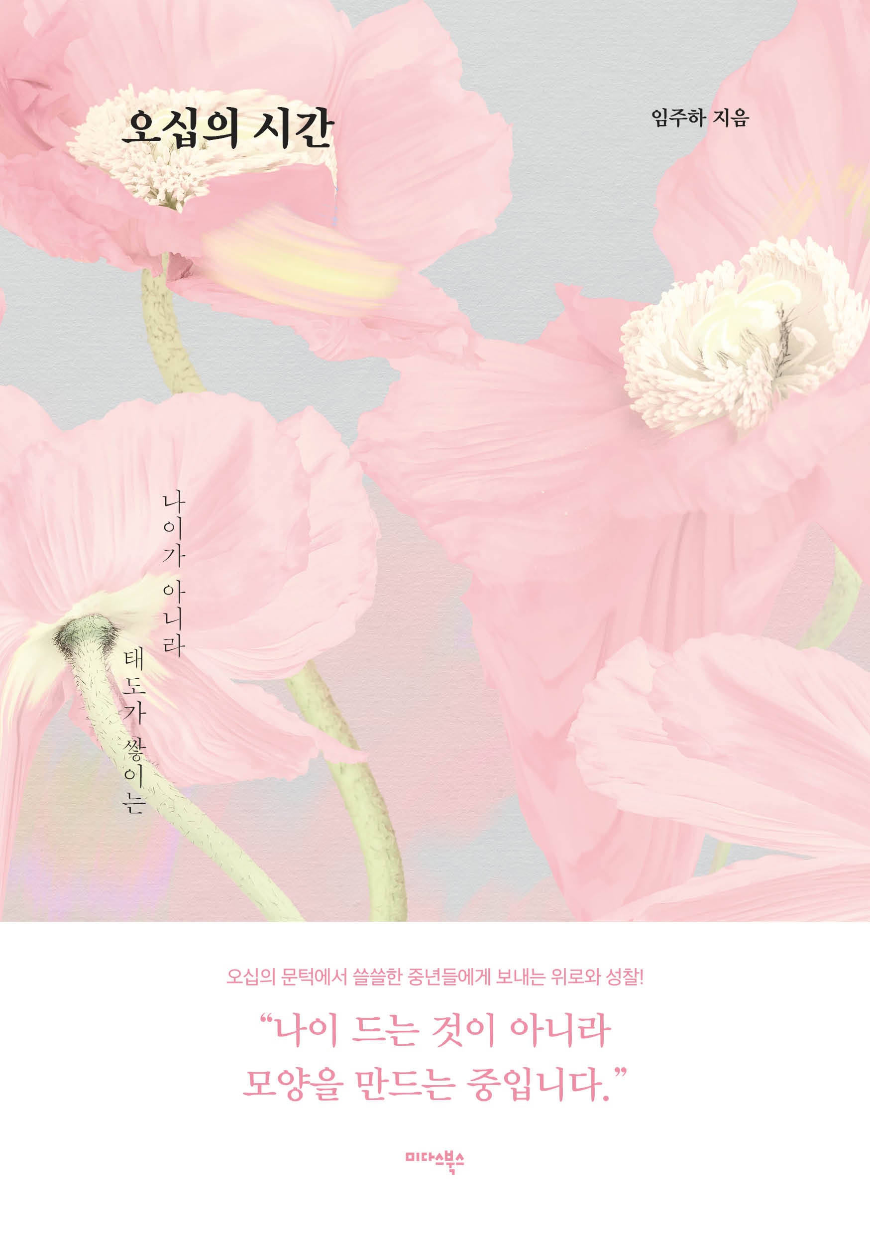 오십의 시간